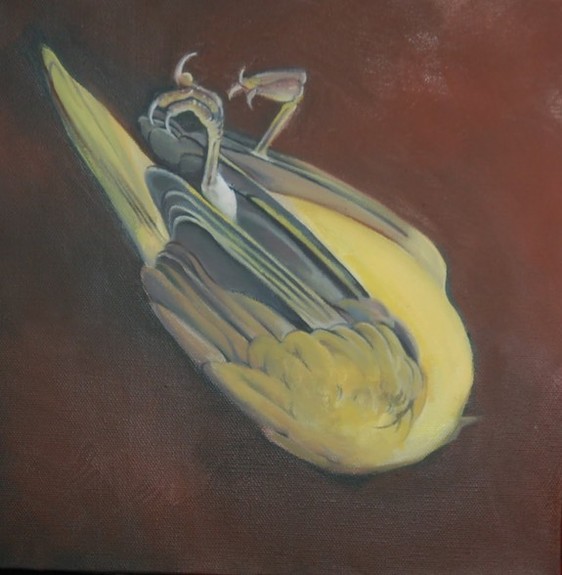 Tattoos - Dead Bird Painting - 51816