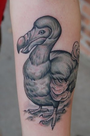 Shawn Hebrank - Dead as a Dodo. 
