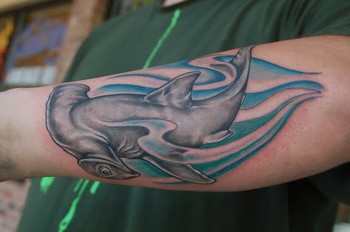 Shawn Hebrank - Hammerhead Shark