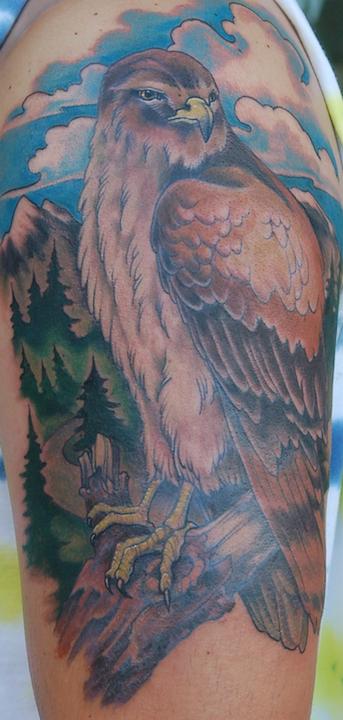 Shawn Hebrank - Hawk Tattoo