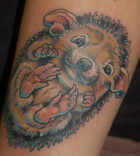 Shawn Hebrank - Baby Hedgehog