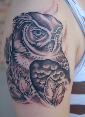 Shawn Hebrank - Owl. 