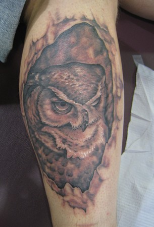 Shawn Hebrank - Owl in Hollow Tree