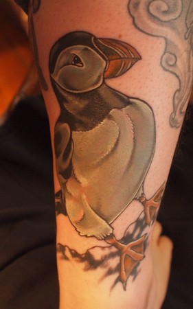 Shawn Hebrank -  Puffin