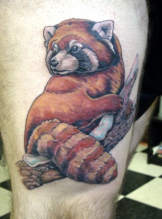 Shawn Hebrank - 