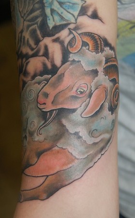 Shawn Hebrank - Sheepgoat