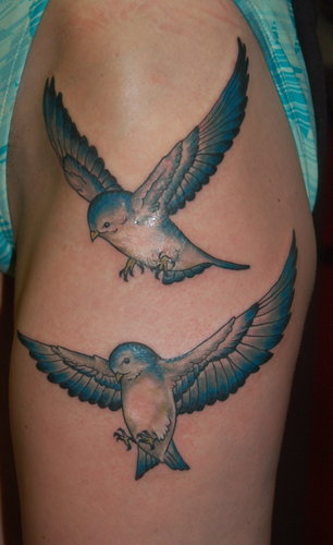 Shawn Hebrank - Songbirds