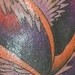 Tattoos - Neo traditional rose with feathers - 41904