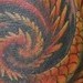 Tattoos - Wing Morph - 41906
