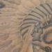 Tattoos - Flatheads Revenge - 41910