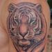 Tattoos - Tiger - 67985