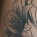 Tattoos - Star lily Biz - 45755