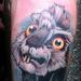 Tattoos - Crazy Rabbit from Alice in wonderland - 67915