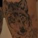 Tattoos - Minnesota Leg Sleeve - 62138
