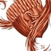 Tattoos - Acorn Painting - 39758