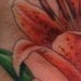 Tattoos - Tiger lily - 41625