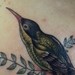 Tattoos - Bird Tattoo - 52517