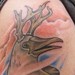 tattoo galleries/ - Blue-footed Boobie