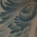 Tattoos - Phoenix  - 76077