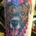 Tattoos - Jester Dog - 76106