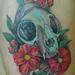 Tattoos - Cat Skull with Flowers - 66671