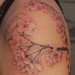 Tattoos -  - 44221
