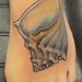 Tattoos - Conch Shell - 52634