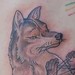 Tattoos - Coyote - 46483