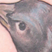 Tattoos - Crow cover up - 33987