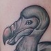 Tattoos - Dead as a Dodo.  - 47632