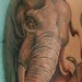 Tattoos - Elephant and friend.  - 49459