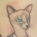 Tattoos - Knitting Cat Tattoo - 52022