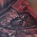 Tattoos - Lighthouse Crab Morph - 61697