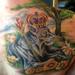 Tattoos - Lioness - 76109