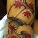 Book and Maple Leaves Tattoo Thumbnail