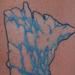 Tattoos - Minnesota N-Ice - 67741