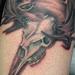 Tattoos - Moose Skull - 76110