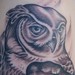 tattoo galleries/ - Owl. 