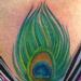Tattoos - Peacock Feather - 76111
