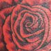 tattoo galleries/ - Ribs Rose