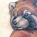 Tattoos -  - 41373