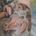 Tattoos - Sheepgoat - 42953