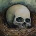 Tattoos - Skull Basket - 62994