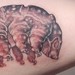 Tattoos - A Tardigrade.  - 44388