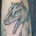 Tattoos - Thylacine - 55295