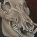 Tattoos - Warthog Skull - 51114
