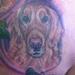 Tattoos - Realistic Dog Portrait Tattoo - 63448
