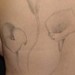 tattoo galleries/ - Cala Lillies