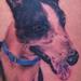 Dog Portrait Tattoo Tattoo Thumbnail