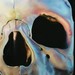 tattoo galleries/ - Pastels Skull Art - 38601